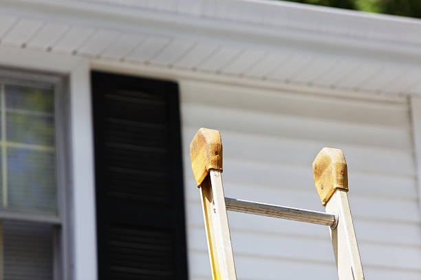 Best Historical Building Siding Restoration  in Lillington, NC