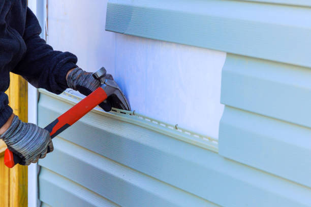 Best Custom Trim and Detailing for Siding  in Lillington, NC